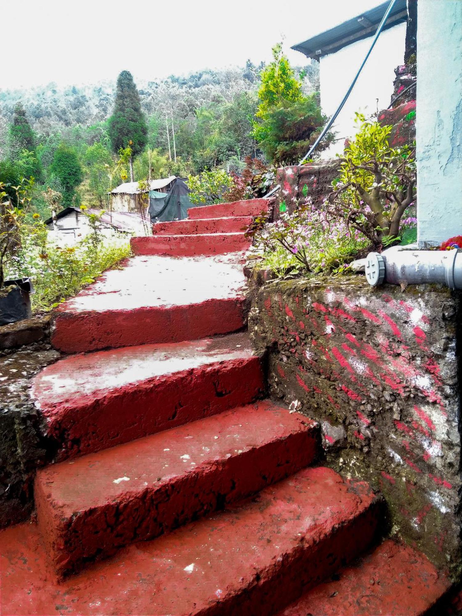 The Himalayan Resort Ravangla Luaran gambar